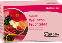 SIDROGA Wellness Früchtetee Filterbeutel