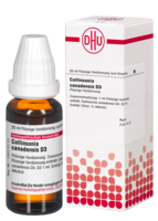 COLLINSONIA CANADENSIS D 3 Dilution