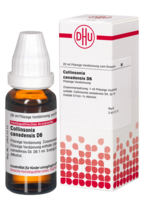 COLLINSONIA CANADENSIS D 6 Dilution