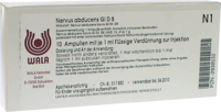 NERVUS ABDUCENS GL D 8 Ampullen