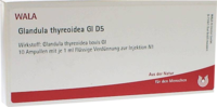 GLANDULA THYREOIDEA GL D 5 Ampullen