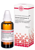 FERRUM PICRINICUM D 6 Dilution