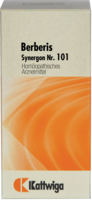 SYNERGON KOMPLEX 101 Berberis Tabletten