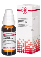 COLLINSONIA CANADENSIS D 12 Dilution