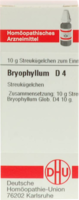 BRYOPHYLLUM D 4 Globuli