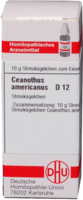 CEANOTHUS AMERICANUS D 12 Globuli