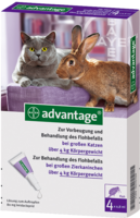 ADVANTAGE 80 Lösung f.Katzen