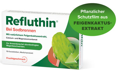 Dr.Willmar Schwabe GmbH & Co.KG REFLUTHIN bei Sodbrennen Kautabletten Frucht 48 St 16011276