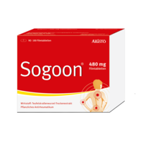 SOGOON 480 mg Filmtabletten