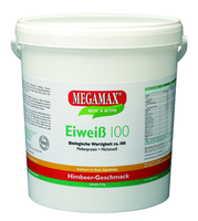 EIWEISS 100 Himbeer Quark Megamax Pulver