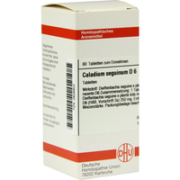 CALADIUM seguinum D 6 Tabletten