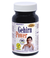 GEHIRN POWER Kapseln