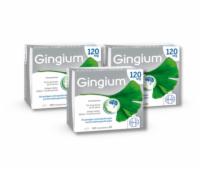 GINGIUM 120 mg Dreierpack 3x120 Stück