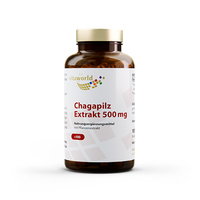CHAGA PILZ Extrakt 500 mg Kapseln