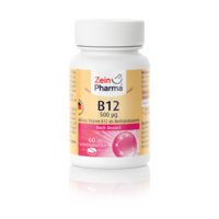 VITAMIN B12 500 µg Methylcobalamin Lutschtabletten