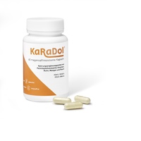 KARADOL magensaftresistente Kapseln